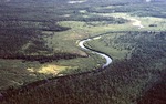 Moose River Near No. 5 Bog by Vernon L. Shaw
