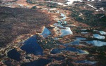 Ephemeral Ponds - Large Drainage Area of Great Heath by Robert A. Johnston