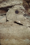 Convolute bedding in Northeast Carry Formation at Seboomook Dam by Robert G. Marvinney