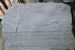 Convolute bedding in Northeast Carry Formation by Robert G. Marvinney