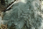Refolded fold, Dead River Formation by Robert G. Marvinney