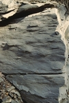 Sandstone in Northeast Carry Formation by Robert G. Marvinney