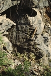 Sandstone in Northeast Carry Formation by Robert G. Marvinney