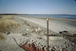 Laudholm Beach post Wells Harbor dredge by Robert G. Marvinney