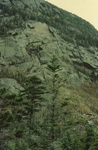 Rock slide, Tumbledown Mountain by Robert G. Marvinney