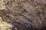 Volcanic breccia, Ingalls Head Formation by Robert G. Marvinney