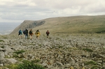 Ultramafic rocks, Table Mountain, Newfoundland by Robert G. Marvinney