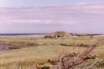 L'Anse aux Meadows World Heritage Site by Robert G. Marvinney