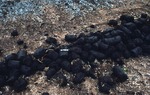 Downeast Peat - Extruded