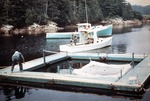 Salmon aquaculture at Callahan Mine site. (7) by Frederick M. Beck