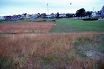 Frontal Dune Area from Playground Edge