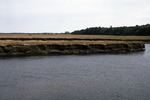 Eroding Scarborough Marsh by Joseph Kelley