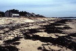 Scarborough Beach (SMD) by Stephen M. Dickson