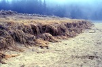 Sand Beach Erosion by Joseph Kelley