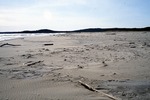 Supratidal Sand Flat