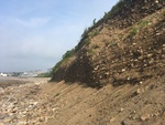 Longsands bluff erosion side view