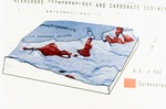 Nearshore Geomorphology and Carbonate Sediment