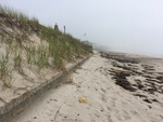 Exposed seawall overtopped by dune on Fortunes Rocks Beach