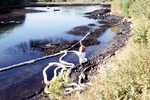 Julie N. oil spill (13:15) by Stephen M. Dickson