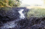 Julie N. oil spill by Stephen M. Dickson