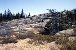 Granite Quarry near Sand Cove by Robert G. Marvinney