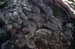 Scraggly Lake Pillow Basalt