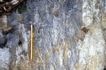 Soft Sed. DEF'N. SS + Slate. Note no Qt. veins. Bolton Rd. (outcrop #84) - East Ext. (North right, West down) by Robert G. Marvinney