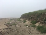 Half Mile Beach dune erosion