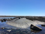 Glacial straitions on exposed bedock at Libby Cove Beach by Sam Rickerich