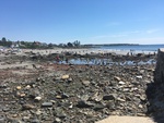 Exposed cobbles at Kennebunk Beach