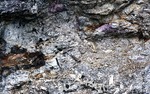 Lepidolite - Tour. - Spodumene - Cleavelandite at Black Mtn. Quarry by Woodrow B. Thompson