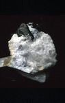 Quartz-Fluorapatite
