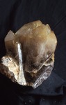 Large Quartz Crystal - Bennett Q.