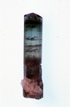 Elbaite (53 x 12 mm) - Bennett Q. - Maine State Museum by Grea Hart
