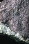 Lepidolite - Black Mtn. Quarry