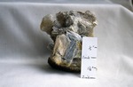Kyanite, Andalusite and Sillimanite