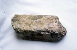 Andalusite (7.5 x 3.5") - Found in 1997 behind the red church at the Standish marsh-swamp. From John Raymond.
