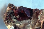 Grossular Garnet (14 x 1 mm) - The Basin - W. Thompson specimen. by John Poisson