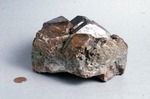 Grossular Garnet Crystals - Pitts-Tenney Quarry (MGS Collection)