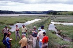 NRC Field Trip - Salt Marsh Dike by Woodrow B. Thompson