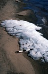 Sebago Lake; beach profile; ice; scale