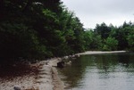 Sebago Lake; beach profile