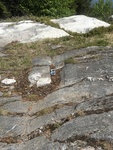 Colonel Holman Mtn. Glacial Grooves