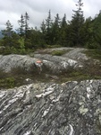Bald Mtn. Glacially Sculpted Rock by Lindsay Spigel