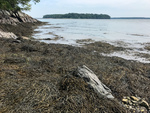 Mackworth Island from Martins Point by Ian Hillenbrand