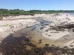 Crescent Beach State Park river system (2)