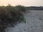 Goochs dune