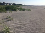 goose rocks dune near plover area