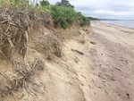 Saco steep dune