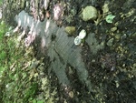 Glacial striations along the ski trail to Hedgehog Hill at Mount Blue State Park.